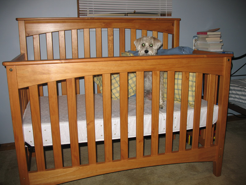 baby's dream infinity crib